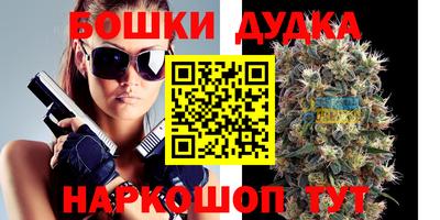 стаф Кунгур
