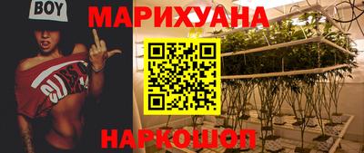 стаф Кунгур