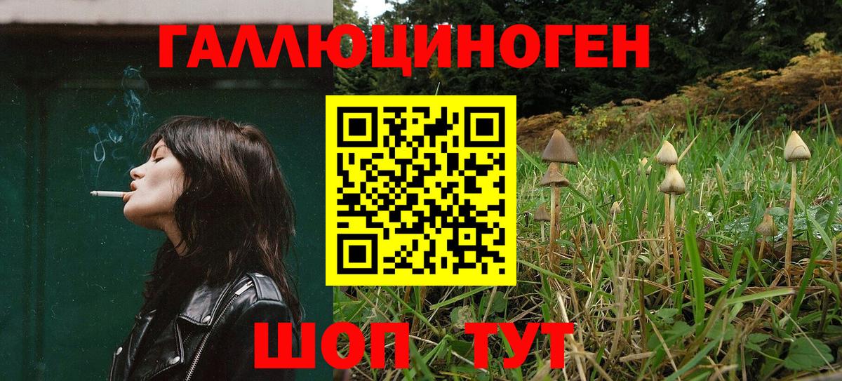 Ейск  Галлюциногенные грибы Cubensis  Вход с VPN 