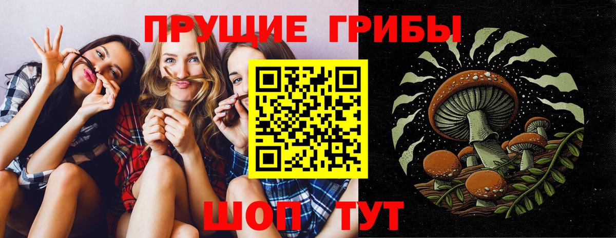 Галлюциногенные грибы Psilocybine cubensis Ейск